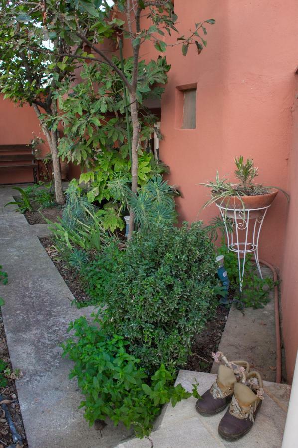 The House Dimitra Nea Fokaia Villa Ngoại thất bức ảnh